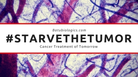 Batu Biologics seeks to #starvethetumor by training your body to attack and kill the tumor vasculature with the ValloVax immunotherapy (Graphic: Business Wire)