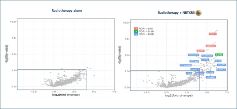 Asymmetrical volcano plot shows a trend toward the upregulation of panimmune genes in post-treated tumors of Soft Tissue Sarcoma patients. The two charts compare the results of patients treated with radiotherapy alone (left), with patients treated with radiotherapy plus NBTXR3 (right). (Photo: Business Wire)