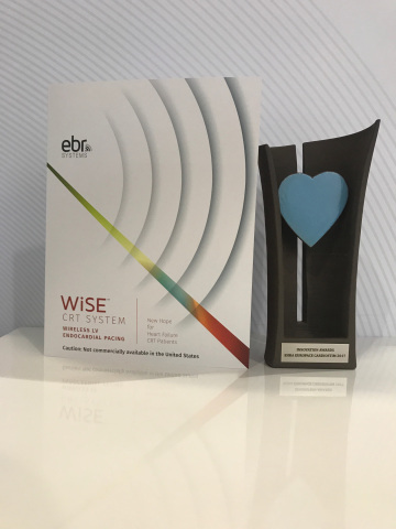 Favorite Innovation, 2017 Cardiostim Innovation Award (Photo: Business Wire)