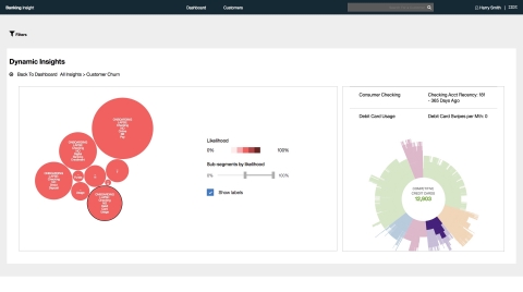A dashboard that uses IBM's predictive analytics, machine learning, and Watson technology to develop dynamic segments of top insights, such as customer churn, that are enriched with Segmint's KLI insights allowing banks to explore and understand their customers through a detailed analysis of the customer's data. (Graphic: Business Wire)