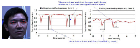 Photo1: Detecting drowsiness by observing the blinking features: The system extracts an outline of the eyes and monitors time-sequence shifts in blinking features by checking the opening between the eyelids. (Graphic: Business Wire)