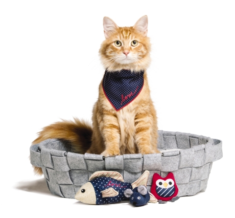 PetSmart and Ellen DeGeneres announced today that they have expanded the ED Ellen DeGeneres pet lifestyle brand, which launched earlier this year with dog products, to now include products for cats. More than a dozen new items for cats, such as this woven cat bed, cat bandana and toys featured in this photo, are available now as part of the ED Ellen DeGeneres pet collection offered in 1,500-plus stores across North America and online at PetSmart.com and PetSmart.ca. (Photo: Business Wire)