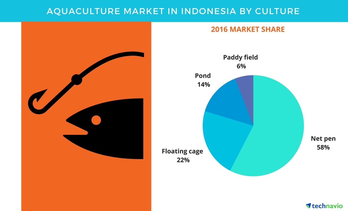 Aquaculture Market In Indonesia Global Forecasts And Opportunity Assessment By Technavio Business Wire