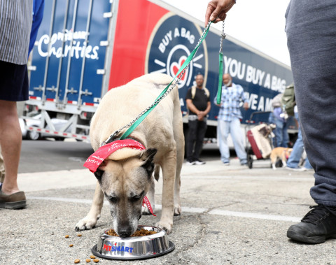 Sandy samples the pet food donated to PAWS/LA through PetSmart’s Buy a Bag, Give a Meal program on Tuesday, August 15, 2017, in Los Angeles. This delivery is part of the first of four massive pet food donation waves from PetSmart’s Buy a Bag, Give a Meal program, where for every bag of dog or cat food purchased online or in its 1,500-plus stores through Dec. 31, 2017, the retailer will donate a meal to a pet in need. Nonprofit partner PetSmart Charities is directly managing the pet food distribution, and for this first coast-to-coast truck delivery wave now underway through Sept. 14, there are 92 semi trucks arriving in 70 cities across 31 states and three Canadian provinces to deliver 17 million meals – more than 3.6 million pounds – to pet shelters and rescues, as well as food banks and pantries to feed hungry pets in need across the U.S. and Canada. PetSmart aims to donate 60 million meals through this program, and three similarly sized truck deliveries are expected later this year and into 2018. (Photo by Matt Sayles/AP Images for PetSmart)