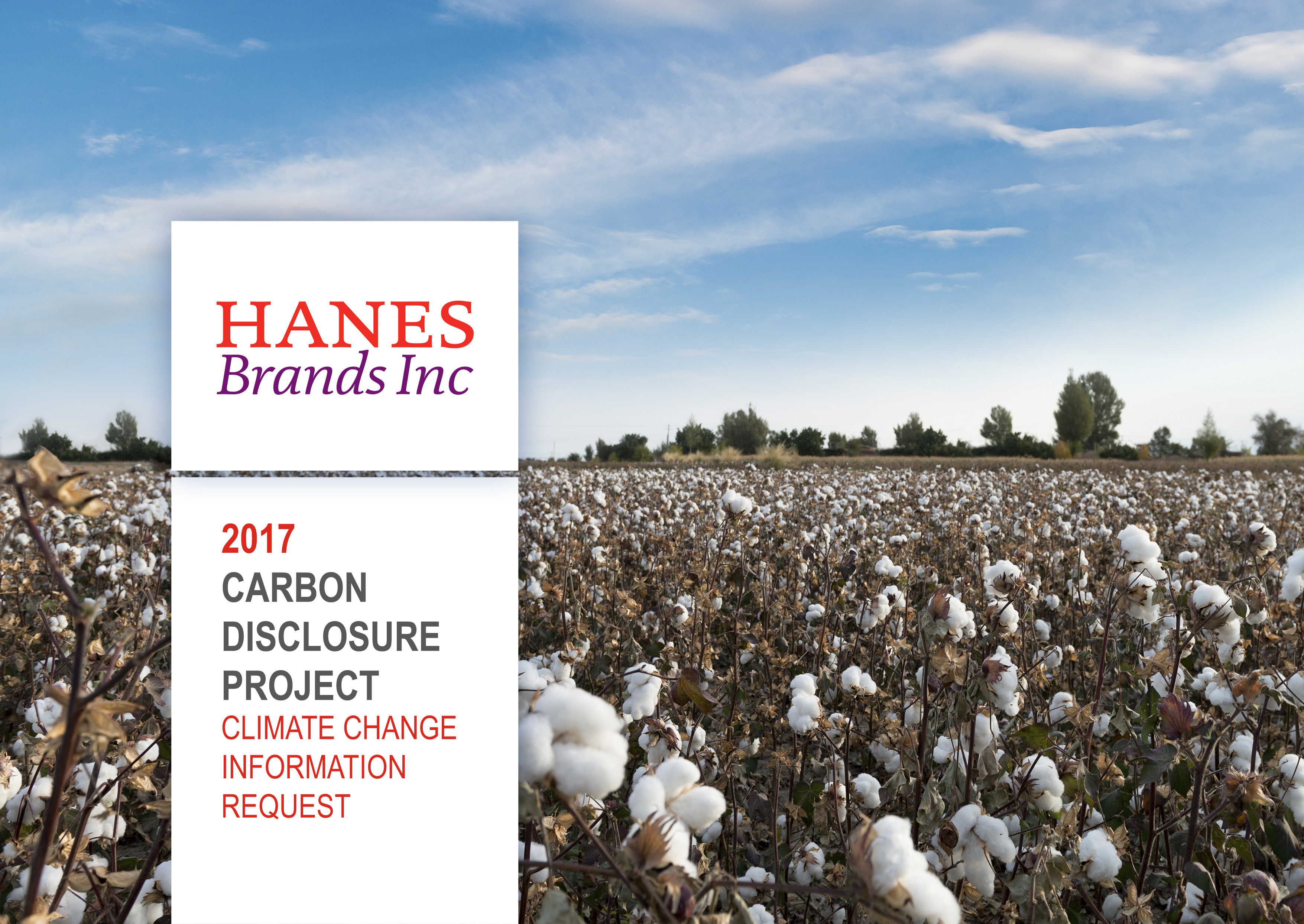 HanesBrands Submits Data for Latest CDP Climate Change Report