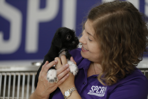 Maura Davies comforts local pets in need in Dallas at the SPCA of Texas, an organization working to support pets in need in the areas affected by Hurricane Harvey. To support Hurricane Harvey rescue, relief and recovery efforts, PetSmart Charities has pledged to donate $2 million to support local nonprofits and animal welfare organizations, like the SPCA of Texas. The largest funder of animal welfare in North America has also delivered more than 110,000 pounds, or 55 tons, of pet food donated through PetSmart's philanthropic Buy A Bag, Give A Meal* program and coordinated at least 10 truckloads of pet supplies, including crates, collars, leashes and pet beds and kitty litter to the affected areas. (Photo: Business Wire) 