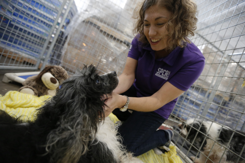 Maura Davies comforts local pets in need in Dallas at the SPCA of Texas, an organization working to support pets in need in the areas affected by Hurricane Harvey. To support Hurricane Harvey rescue, relief and recovery efforts, PetSmart Charities has pledged to donate $2 million to support local nonprofits and animal welfare organizations, like the SPCA of Texas. The largest funder of animal welfare in North America has also delivered more than 110,000 pounds, or 55 tons, of pet food donated through PetSmart's philanthropic Buy A Bag, Give A Meal* program and coordinated at least 10 truckloads of pet supplies, including crates, collars, leashes and pet beds and kitty litter to the affected areas. (Photo: Business Wire) 