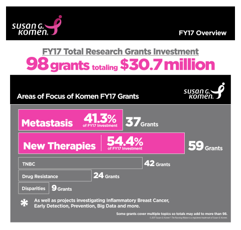 Susan G. Komen's 2017 Research Investment (Graphic: Business Wire)