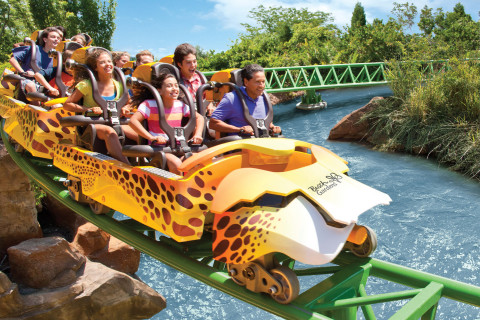 Busch Gardens Tampa Bay (Photo: SeaWorld Parks & Entertainment, Inc.)