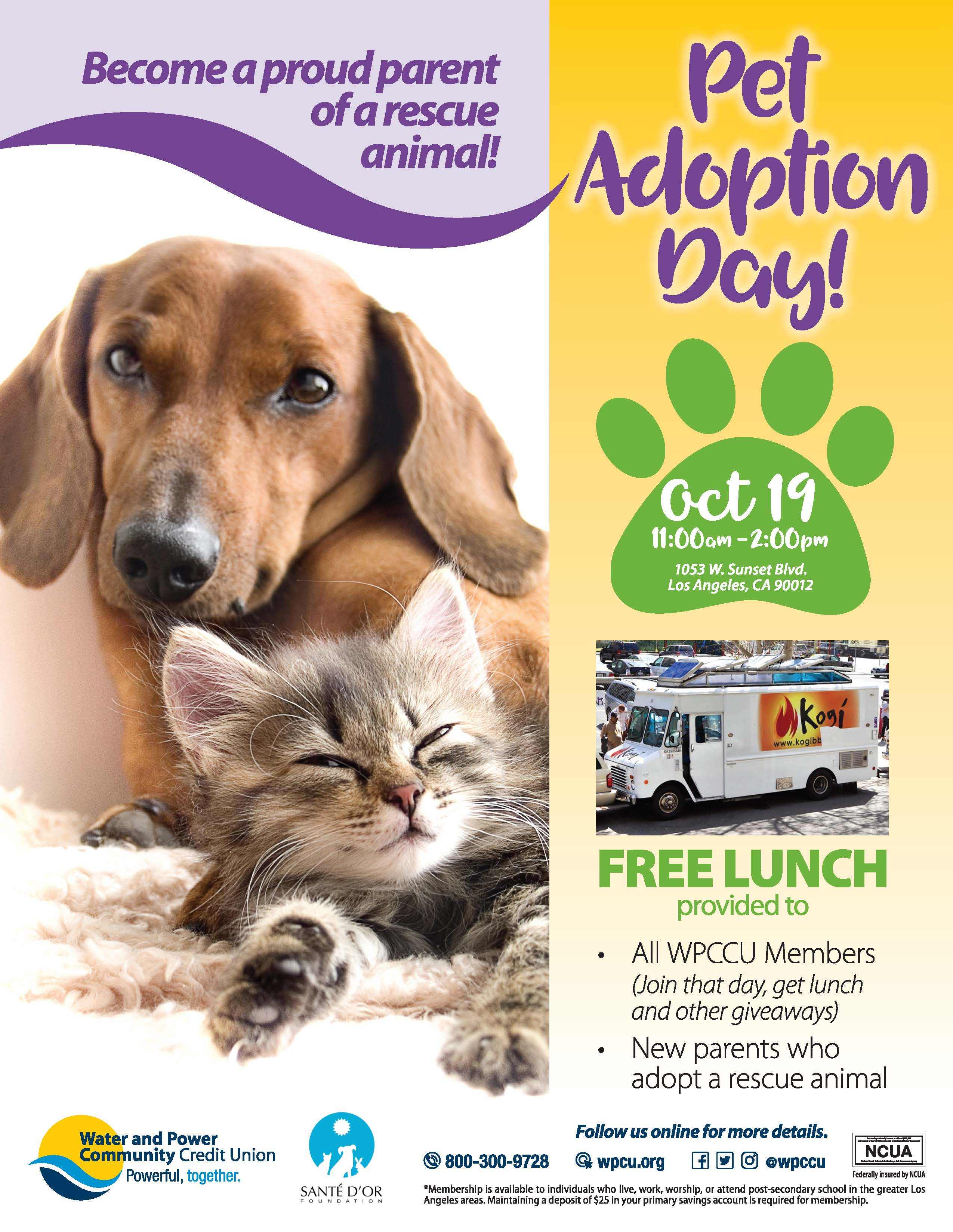 Water and Power Community Credit Union to Sponsor Pet Adoption & Member  Appreciation Day | Business Wire