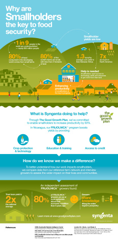 Syngenta Smallholder Infographic (Photo: Business Wire)