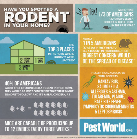 Have you spotted a rodent in your home in the past year? Find out how many Americans have! (Graphic: Business Wire)