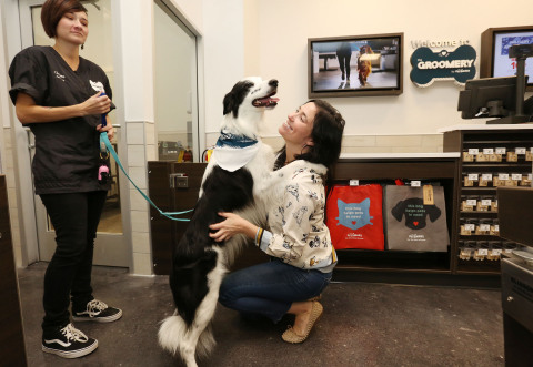 Instagram pet celebrity, Pharrell of @pharrellandrosie (32.8K followers), is greeted by pet parent, Megan Rose, after getting groomed from head-to-toe at The Groomery by PetSmart™ in Manhattan’s Upper West Side on Tues., Oct. 24. Pharrell and Rose got a sneak peek at The Groomery before it opens to the public on Wed., Oct. 25. The Groomery is a stand-alone salon that features classic pet grooming services and pampering “Spaw” treatments, as well as a self-service dog wash so pet parents can bond and bathe their own pups. The New York City location and an additional salon in Oak Park, Ill., a suburb of Chicago, both opened this week and are the first of five of The Groomery stores to open this fiscal year. Additional locations will include Scottsdale, Ariz., with two more locations expected to be announced soon. (Photo: Business Wire)