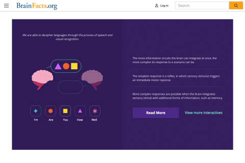BrainFacts.org features interactive activities and videos that teach the eight things everyone needs to know about the brain. (Graphic: Business Wire)