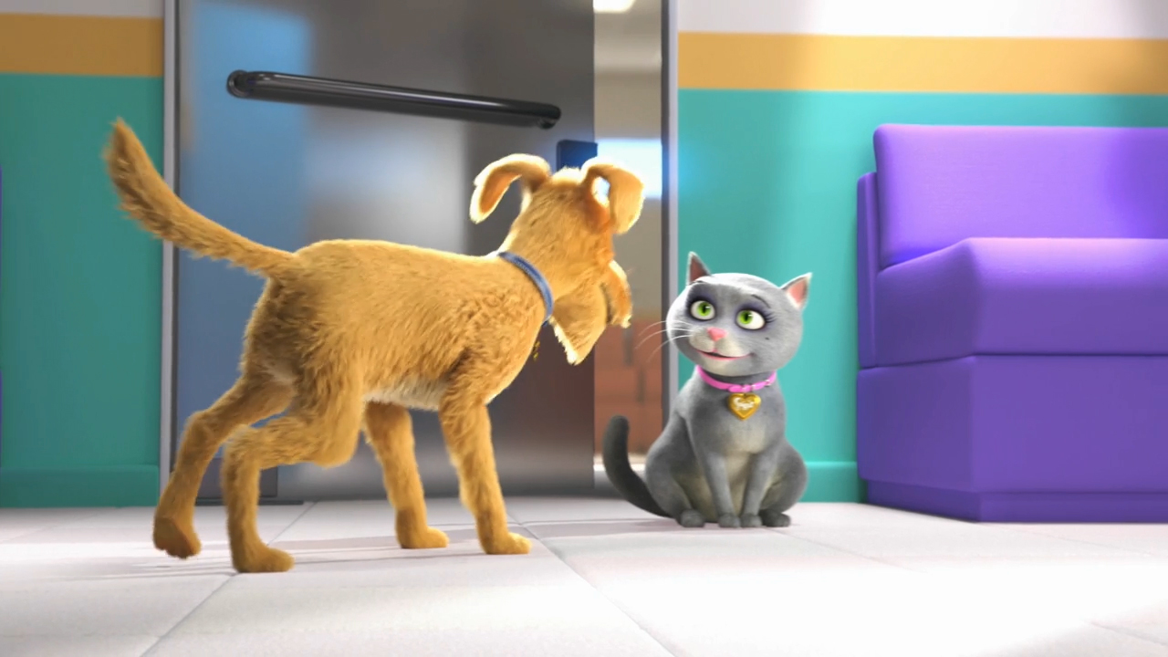 Sugar & Spike Go to the Vet (Video: Business Wire)