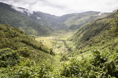 A view of the Finca San Isidro Reserve in Guatemala's Cuchumatanes Mountain range. (Photo by Robin Moore)