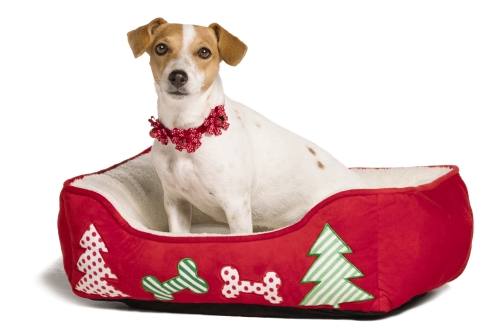 PetSmart, the leading pet specialty retailer in North America, is making this holiday season merry and bright with the launch of its Holiday Collection, featuring everything a pet parent might want to bring their pets into the festive celebrations of the season. Items include hundreds of new, on-trend seasonal apparel and accessories like festive collars, ugly sweaters and pet PJs, as well as toys, pet beds, stocking stuffers, holiday cookie treats, fish tank ornaments and more! The Holiday Collection includes a line of philanthropic items - gifts that give back to pets in need. The PetSmart Holiday Collection is available now in all 1,500-plus PetSmart stores across the U.S. and Canada and online at petsmart.com and petsmart.ca. (Photo: Business Wire)