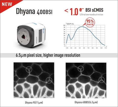 The next generation of sCMOS camera (Graphic: Business Wire)