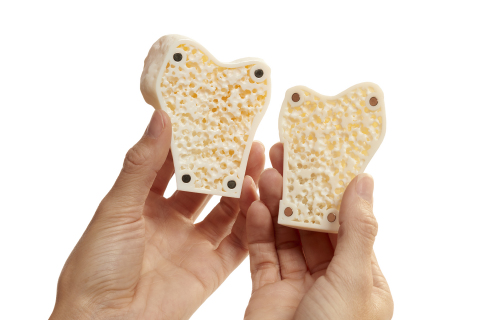 Academic and medical research, as well as training organizations can use GrabCAD Voxel Print to create ultra-realistic anatomical models, such as this cancellous, mesh-like bone, for practicing surgical procedures such as cutting, reaming and drilling. (Photo: Business Wire)
