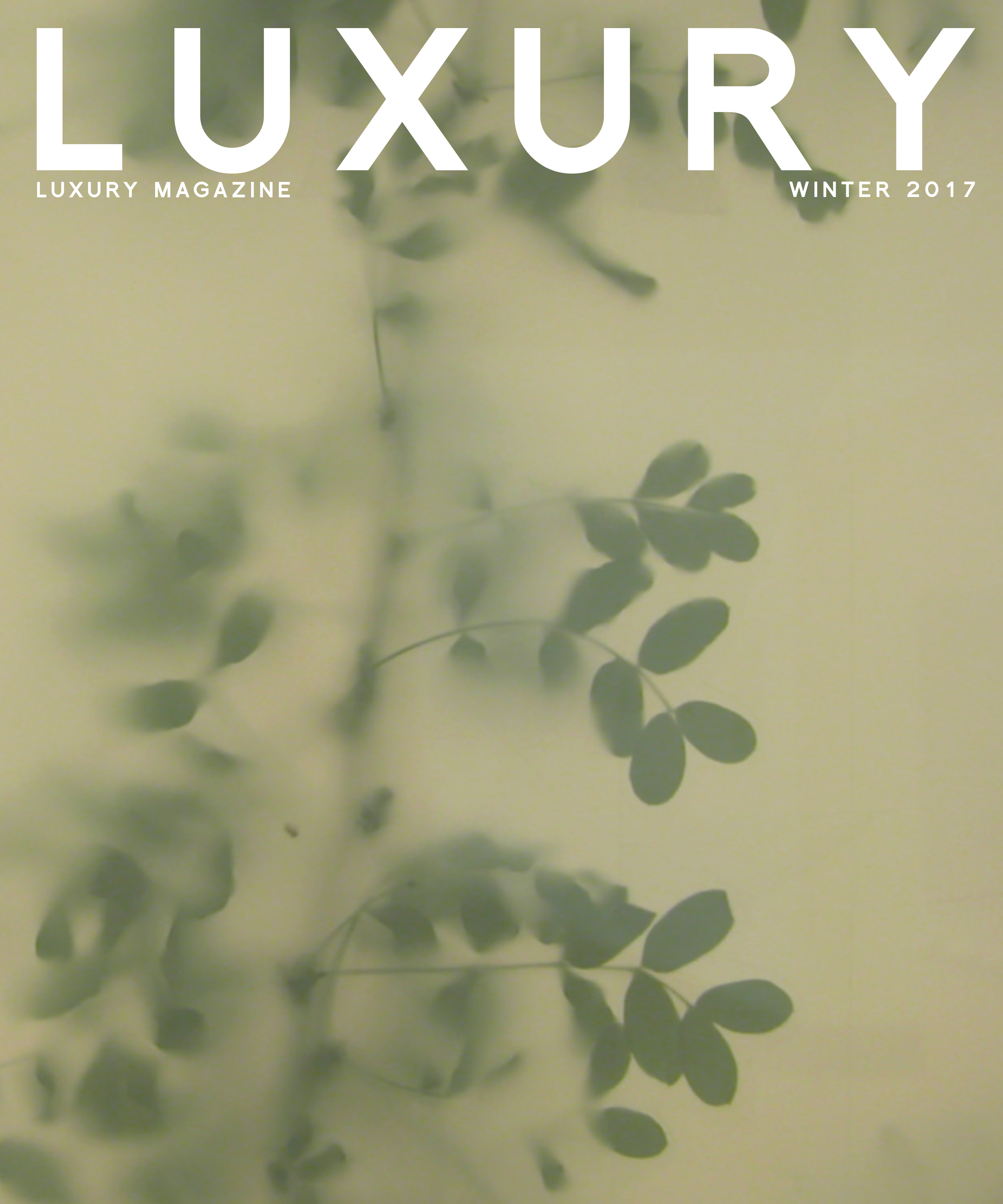 Luxury Magazine Fall/Winter 2021 by Luxury Card - Issuu