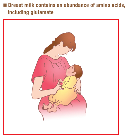 Breast milk contains an abundance of amino acids, including glutamate (Graphic: Business Wire)