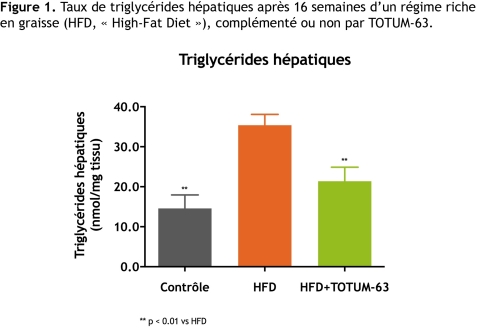 Figure 1. Taux de triglycérides hépatiques après 16 semaines d’un régime riche en graisse (HFD, « High-Fat Diet »), complémenté ou non par TOTUM-63.