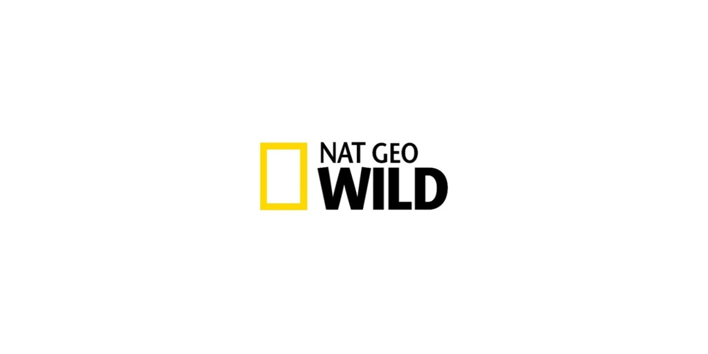 Download Natgeoadventurehd - Nat Geo Wild Hd Logo PNG Image with No  Background - PNGkey.com