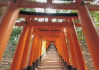 Fushimi Inari Shrine located in Kyoto (Photo: Business Wire)
