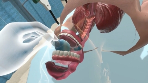 Visual from Award Winning VR Airway Lab (Graphic: Business Wire)