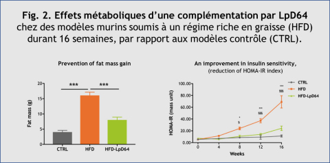 Fig. 2. Effets métaboliques d’une complémentation par LpD64 chez des modèles murins soumis à un régime riche en graisse (High Fat Diet, HFD) durant 16 semaines, par rapport aux modèles contrôle (CTRL). (Graphique: VALBIOTIS)