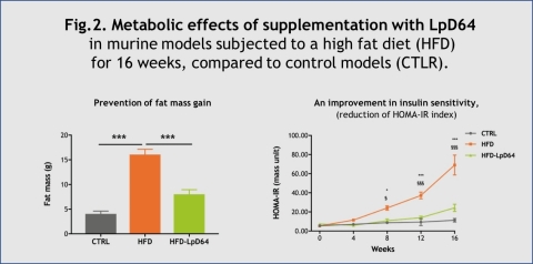 Fig.2. Metabolic effects of supplementation with LpD64 in murine models subjected to a high fat diet (HFD) for 16 weeks, compared to control models (CTLR). (Graphic: VALBIOTIS)