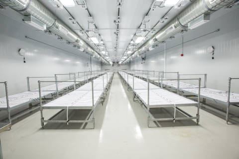 Zenabis holds one of the largest indoor medical cannabis cultivation footprints in Canada. (Photo: Business Wire)