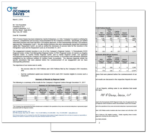 Audit report summary