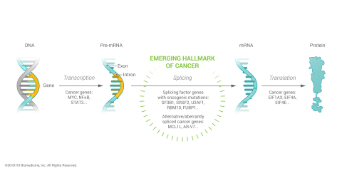 Splicing factor mutations are an emerging hallmark of cancer. (Photo: Business Wire)