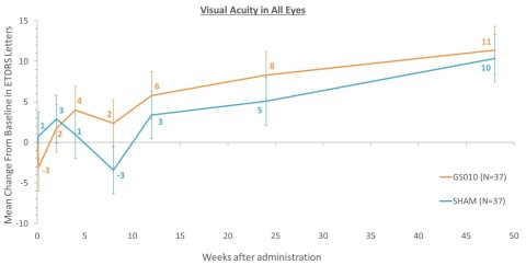 Visual Acuity in all eyes.
The graph below shows the mean change from baseline in visual acuity, in both treated (GS010) and untreated (sham) eyes, over time in ETDRS letters: (Photo: Business Wire) 