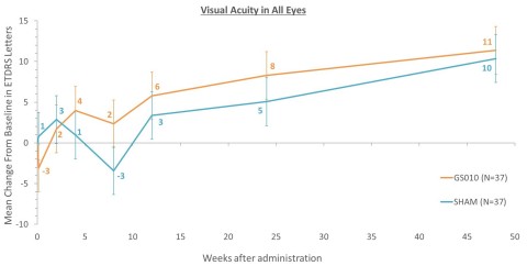 
Le graphique ci-dessous montre la variation moyenne d’acuité visuelle par rapport à la baseline dans les yeux traités (GS010) et non traités (sham) au cours du temps, exprimée en lettres ETDRS (Photo: Business Wire) 