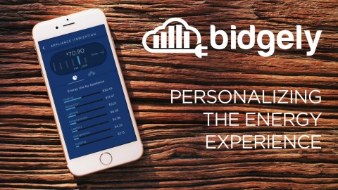 Bidgely applies Artificial Intelligence to help utilities personalize the energy experience for cons ... 