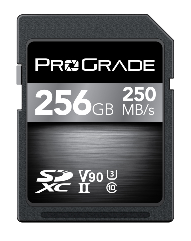 ProGradeDigital_SDXCV90_256GB_whiteground_700.jpg