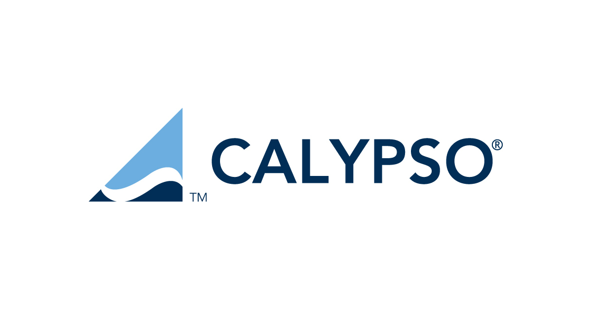 Calypso Technology Didier Bouillard as CEO Business Wire