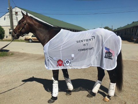 Sentient Jet to Support Combatant at the 2018 Kentucky Derby (Photo: Business Wire)