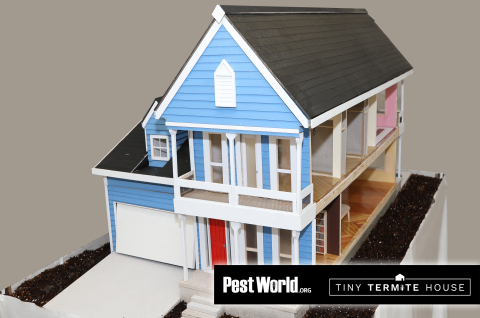 The Tiny Termite House, a mini dream home constructed by the NPMA, was used to tell the important story of what termites could be doing behind your walls. (Photo: Business Wire)