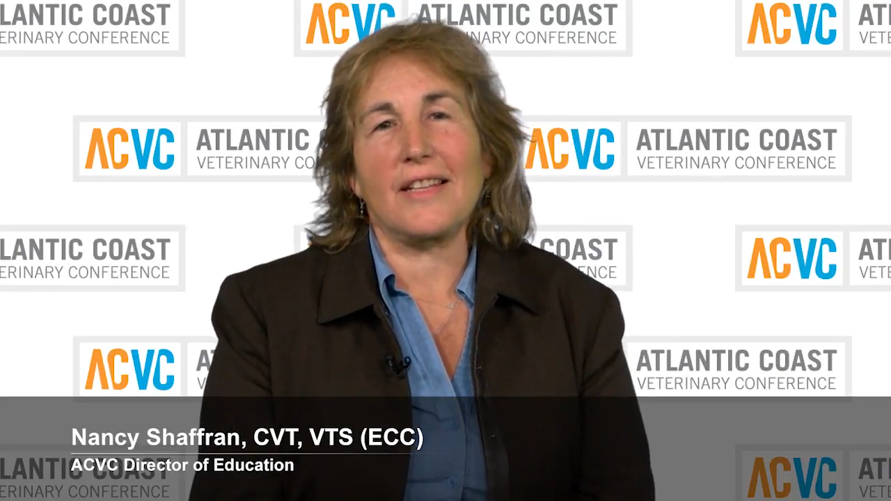 Nancy Shaffran On the Importance of the Atlantic Coast Veterinary