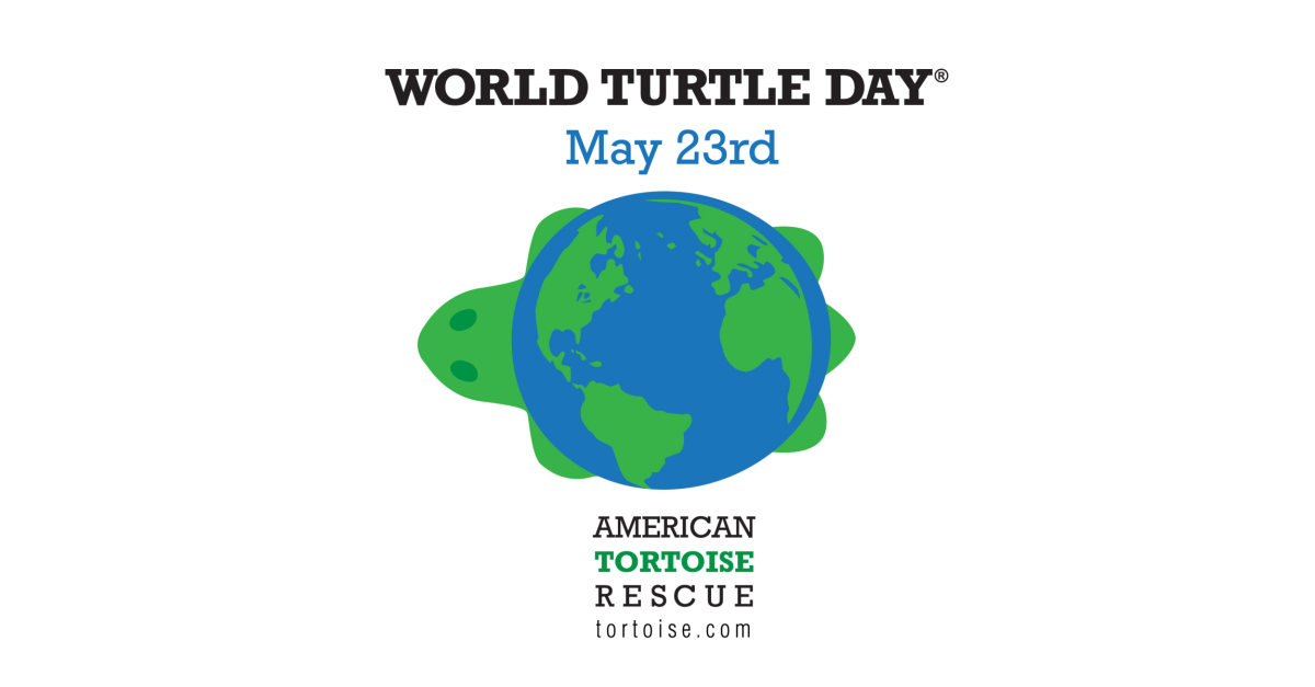 World turtle day ditaja oleh