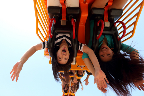 Hang upside down for extended periods of time on Mardi Gras Hangover! (Photo: Business Wire)