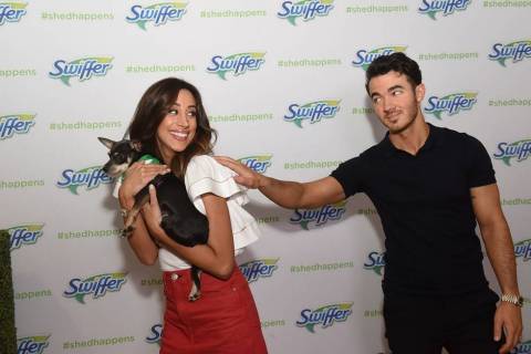 Danielle Jonas jokes about adopting a doggy playmate from Bideawee for her and Kevin's dogs by trying to sneak a pup out of the Swiffer #ShedHappens event on Wednesday, May 23, 2018, in New York. (Photo: Business Wire)