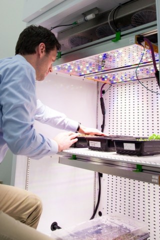 Steve Graves, Strategic Program Manager of Urban & Digital Farming, Osram Innovation, Americas Region, observes microgreens in a growth chamber at NASA’s Kennedy Space Center. NASA is using Osram's Phytofy RL connected horticulture research lighting system for ground research focused on production of salad-type crops for crews during space travel. (Photo: OSRAM)