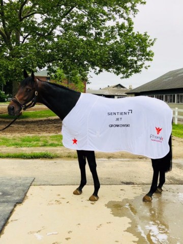 Sentient Jet to Sponsor Gronkowski at the 2018 Belmont Stakes Showcasing Support of Boston and Horse Racing Communities. (Photo: Business Wire)
