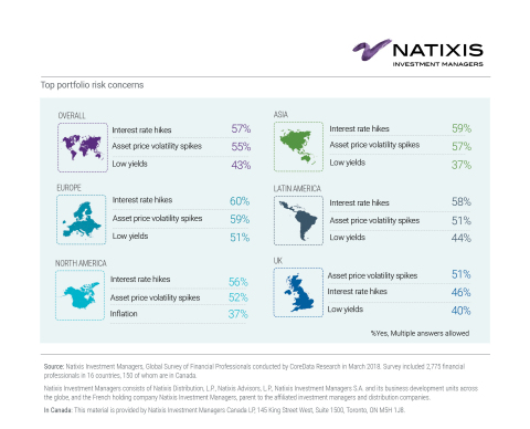 Global Top Portfolio Risk Concerns (Graphic: Business Wire)