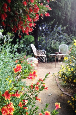 A water-efficient garden planted with California native plants. Photo courtesy Theodore Payne Foundation.