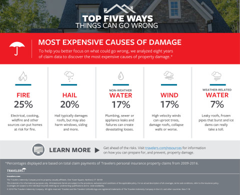 The Most Expensive Causes of Damage  (Graphic: Business Wire)